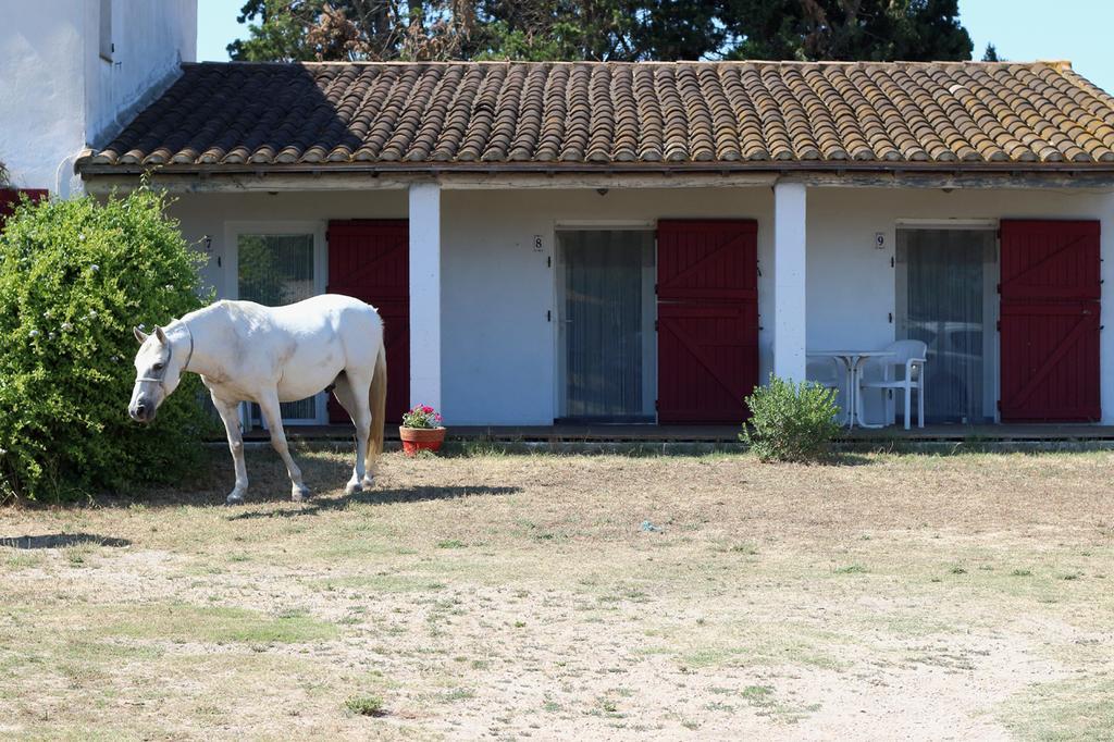 Mas Des Cypres Appartamento Saintes-Maries-de-la-Mer Esterno foto