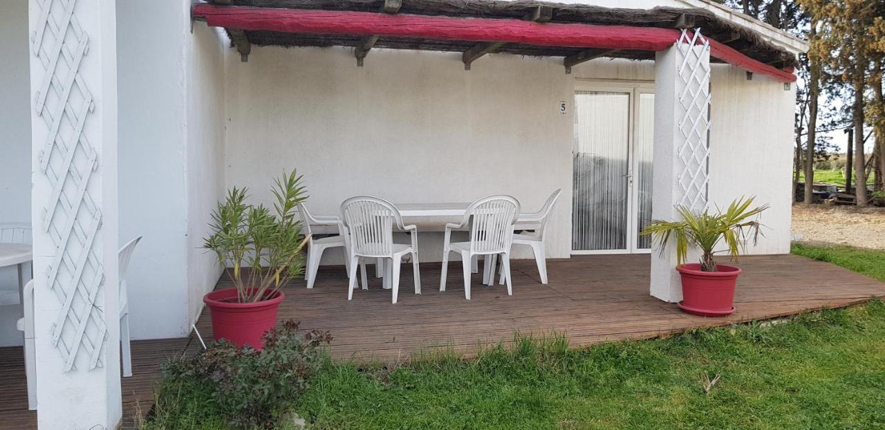 Mas Des Cypres Appartamento Saintes-Maries-de-la-Mer Esterno foto