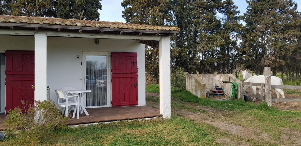Mas Des Cypres Appartamento Saintes-Maries-de-la-Mer Esterno foto